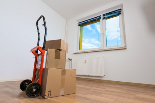 Removal boxes and protective wrap for a Lewisham move