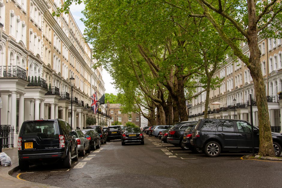 A residential street scene in Lewisham showing white Victorian-style terraced houses with black iron balconies, some decorated with flags, lining both sides of the street. Large, mature trees with dense green foliage extend over the street, creating a canopy. Parked cars, including a black vehicle with a UK registration plate, are positioned along the pavement on both sides. In the foreground, a few cardboard boxes and plastic-wrapped furniture items are visible near the entrance of a house, indicating a home relocation or moving process. The pavement is wet, suggesting recent rain, and the scene is illuminated by natural daylight. This setting exemplifies typical street parking during a house removal in Lewisham, with some vehicles possibly involved in furniture transport or packing and moving activities facilitated by local removal services such as Man and Van Lewisham.